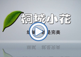 &#31859;&#20848;&#24179;&#21488;&#45;&#31859;&#20848;&#77;&#73;&#76;&#65;&#78;&#40;&#20013;&#22269;&#41;